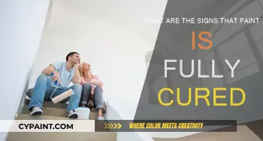 How to Tell if Paint is Fully Cured