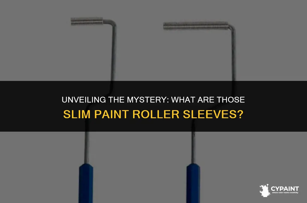 what are the skinny tampon looking paint roller covers called