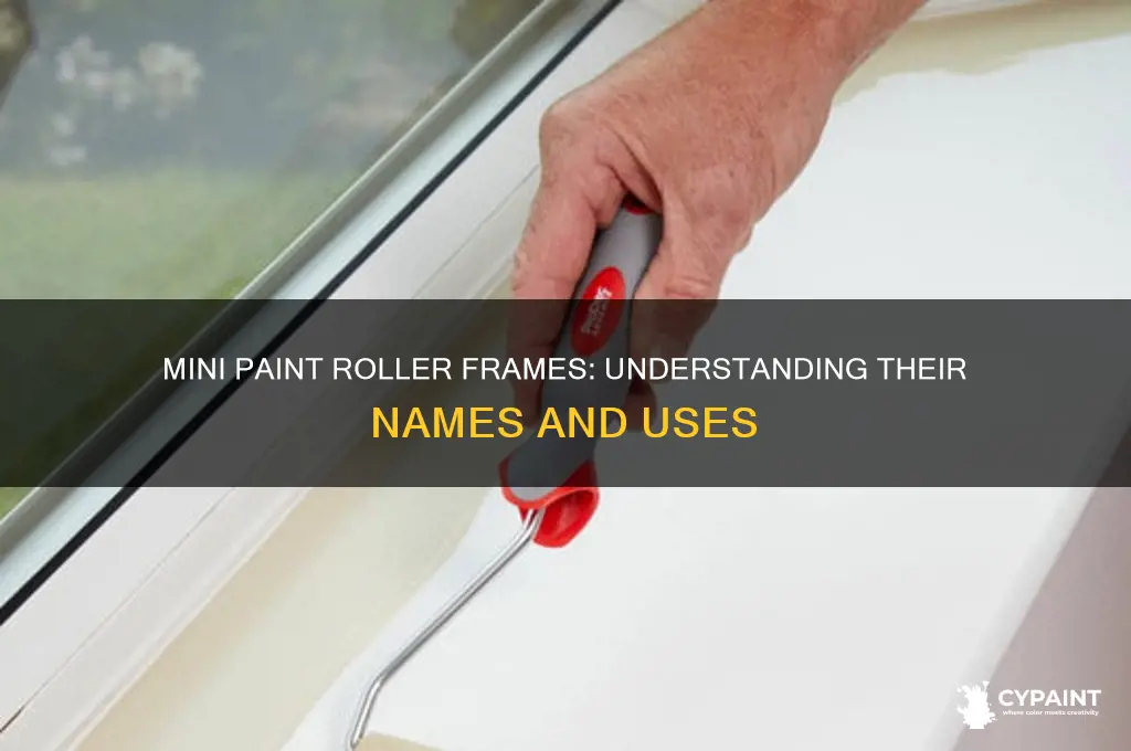 what are the small paint rollers frames called