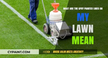 Decoding the Mystery: What Those Spry Painted Lines on Your Lawn Mean