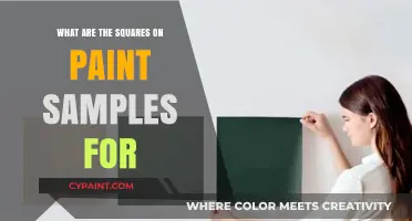 Understanding the Purpose of Squares on Paint Samples