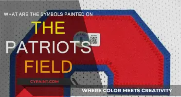 The Patriots' Field: Decoding Symbolic Meanings