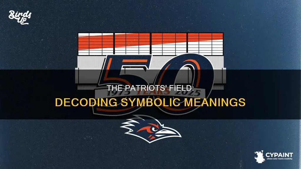 what are the symbols painted on the patriots field