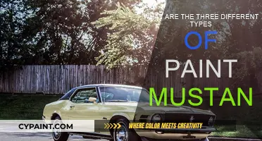 Mustang Paint Jobs: Three Unique Styles