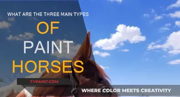 Explore Paint Horses: Three Distinctive Coat Patterns