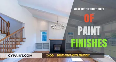Exploring Sheen: Understanding the Three Types of Paint Finishes
