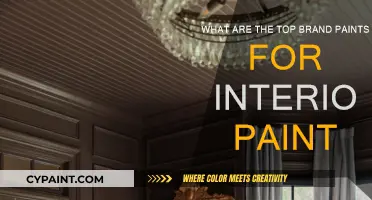 Best Interior Paint Brands for Your Home