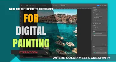 Unleash Your Creativity: Top Raster Editors for Digital Painting