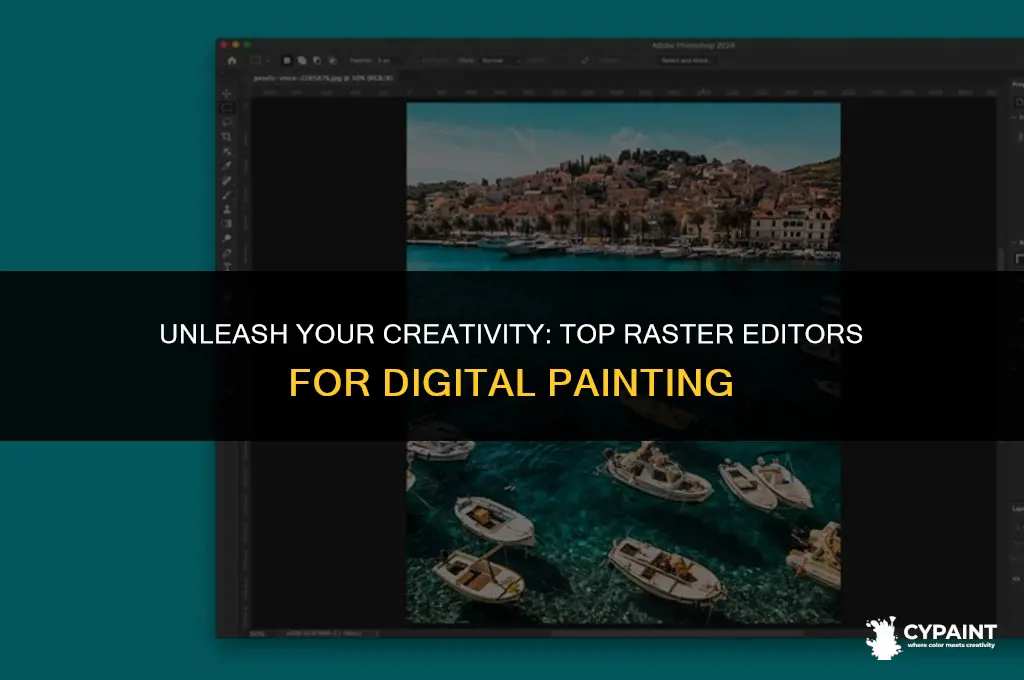 what are the top raster editor apps for digital painting