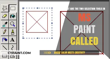 Exploring MS Paint: A Guide to the Selection Tools You Need