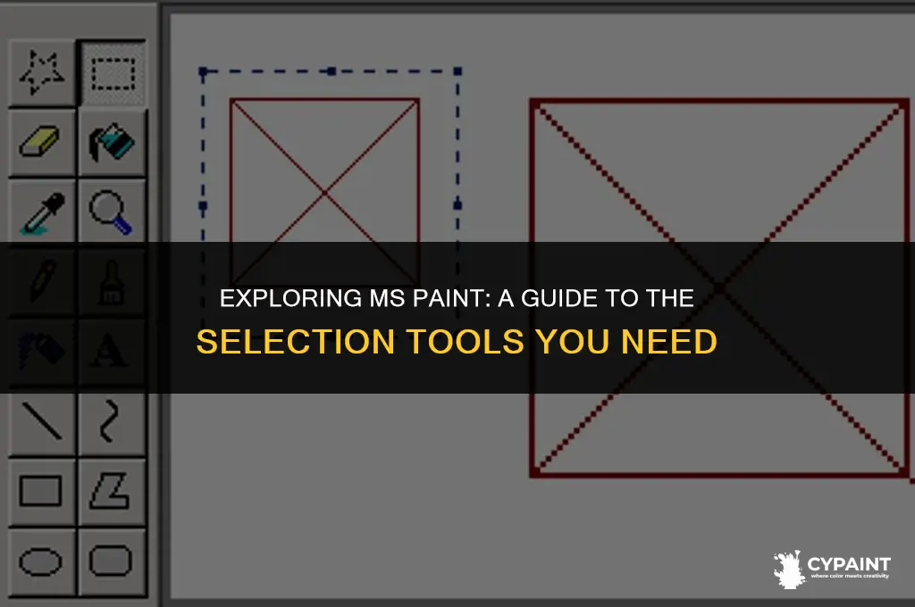 what are the two selection tools in ms paint called