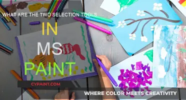 Selection Tools in MS Paint: Two Ways to Edit