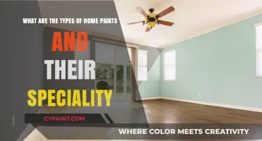 Exploring the World of Home Paints: Types and Unique Features
