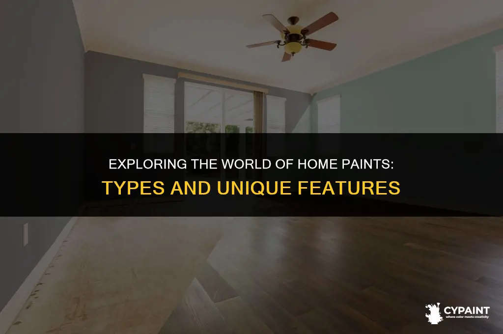 what are the types of home paints and their speciality