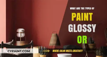 Glossy or Matte: Exploring Different Types of Paint Finishes