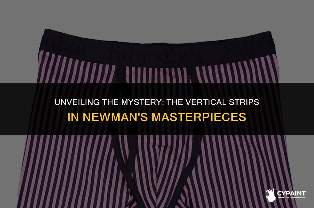 what are the vertical strips found in newman