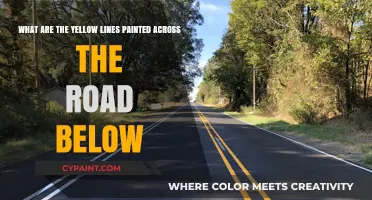 Decoding Road Markings: The Significance of Yellow Lines