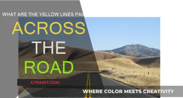 Road Safety: Understanding Yellow Lines' Meaning