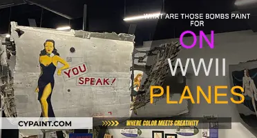 The Mystery of WWII Plane Paint Bomb Art