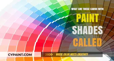 Unveiling the Mystery: What Are Those Paint Shade Cards Called?
