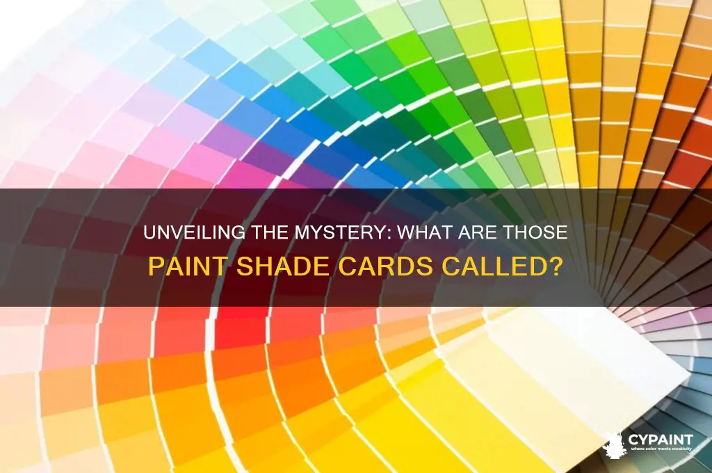 what are those cards with paint shades called