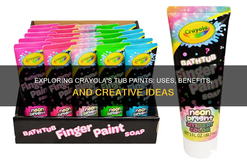 what are those crayola paints in the tubs