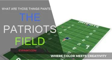 The Patriots' Field: What Are Those Painted Marks?
