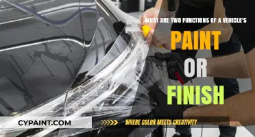 Protective Coatings: Unveiling the Dual Functions of Vehicle Paint
