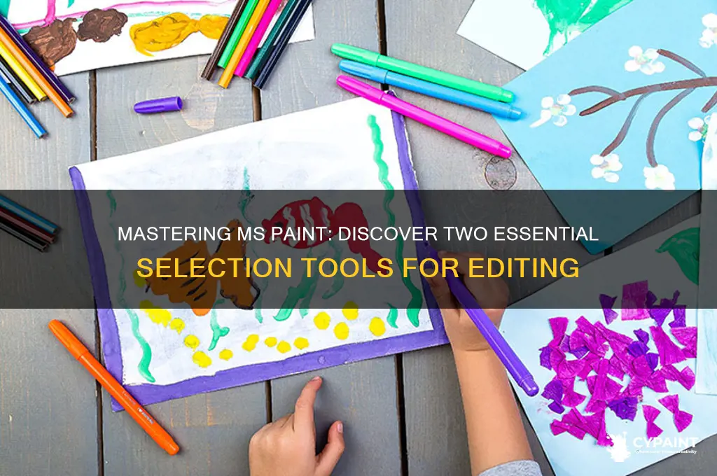 what are two selection tools in ms paint