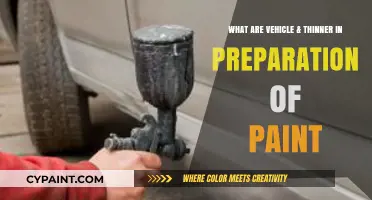 Understanding Vehicle & Thinner Roles in Paint Preparation Process