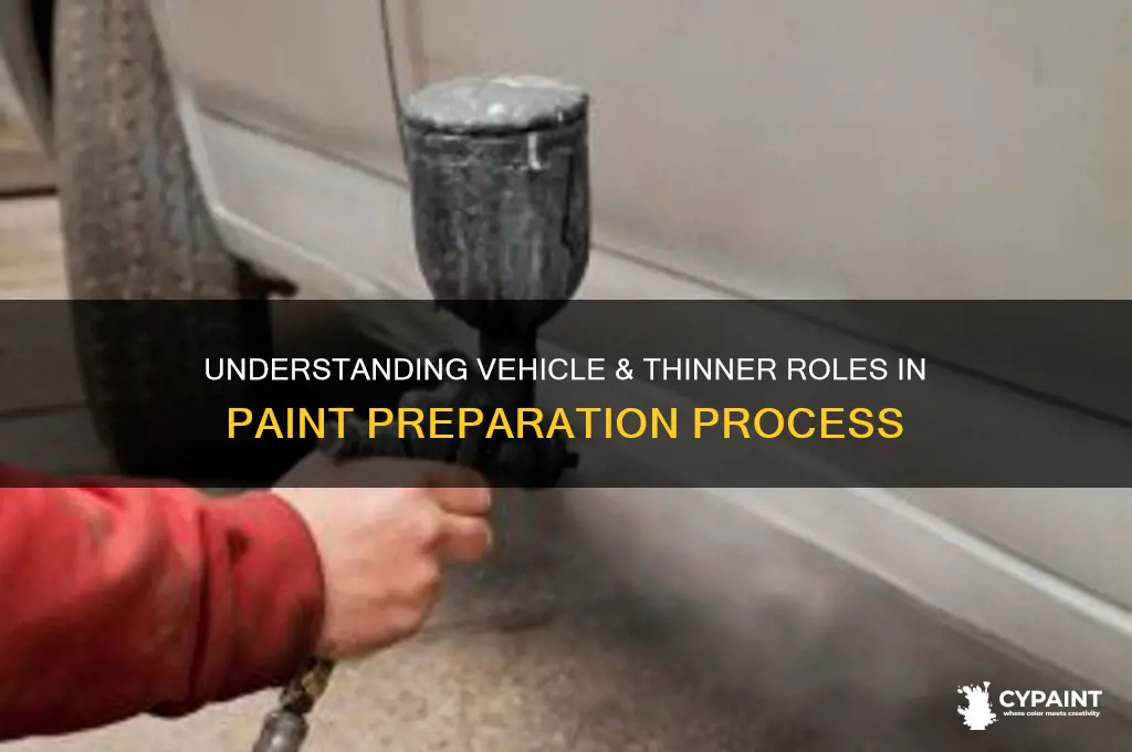 what are vehicle & thinner in preparation of paint