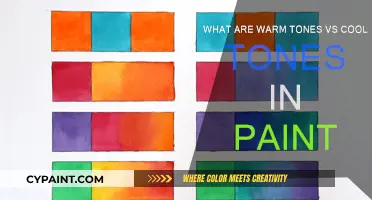 Warm vs Cool Paint Tones: The Ultimate Guide
