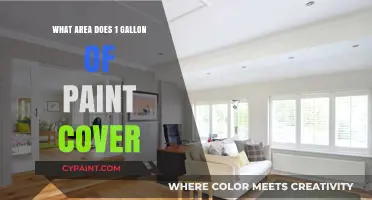 How Much Surface Can 1 Gallon of Paint Cover?