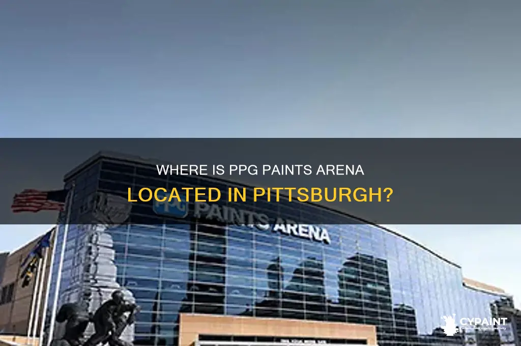 what area is the ppg paints arena in