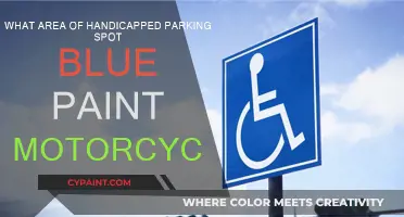 Handicapped Parking Spots: Blue Paint Motorcycle Mystery