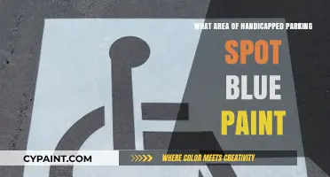 Understanding Blue Paint Dimensions in Handicapped Parking Spots: A Guide