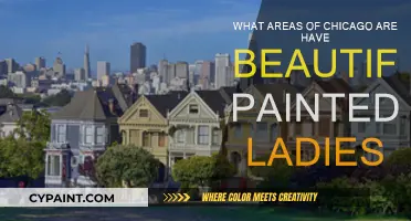 Explore Chicago's Colorful Painted Ladies
