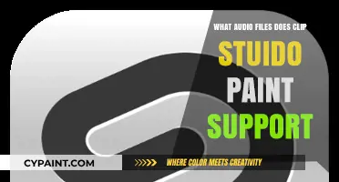 Clip Studio Paint Audio Compatibility: Supported File Formats Explained