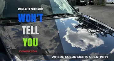 Hidden Secrets: What Auto Paint Shops Don't Want You to Know