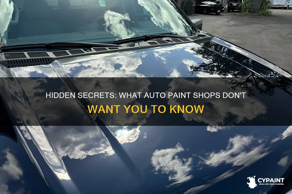 what auto paint shop won