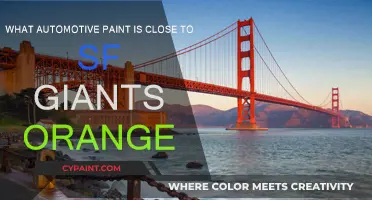 Giants Fans: What's the Closest Auto Paint to SF Orange?