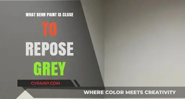 Behr Paint Alternatives: Finding the Perfect Match to Repose Grey