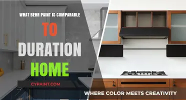 Behr Paint Alternatives: Comparable Options to Duration Home