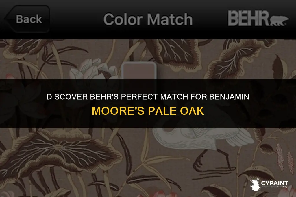 what behr paint is similar to benjamin moore pale oak