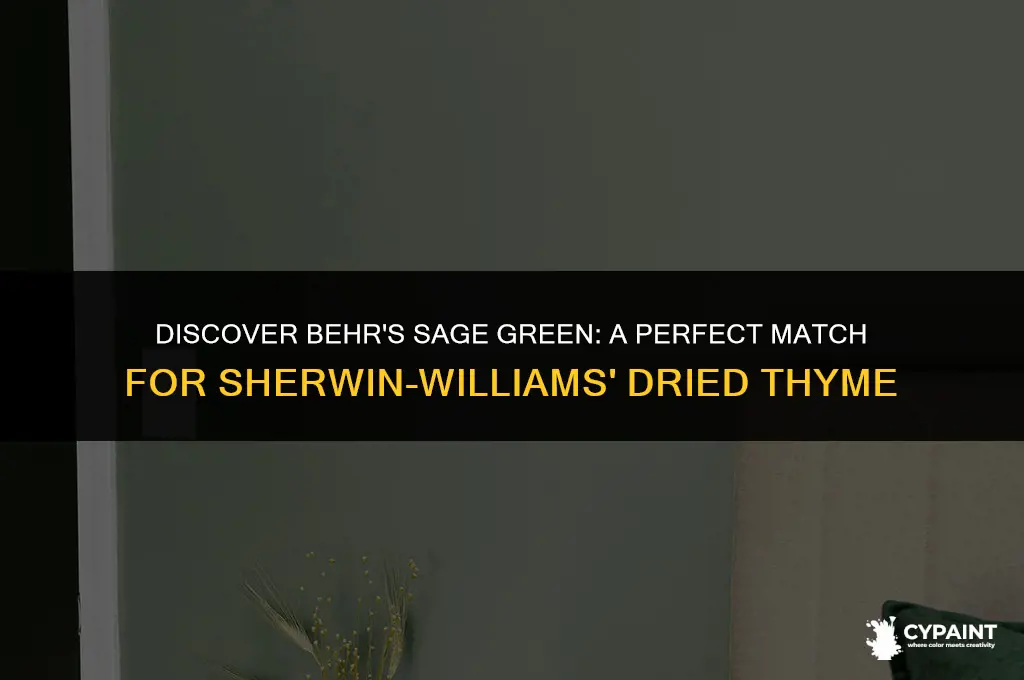 what behr paint is similar to sherwin williams dried thyme