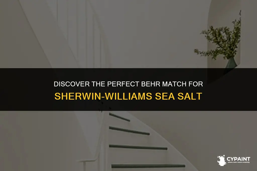 what behr paint is similar to sherwin williams sea salt