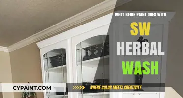 Best Beige Paint Colors to Complement SW Herbal Wash in Your Home