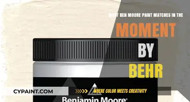 Finding the Perfect Match: Ben Moore Paint for Behr's In the Moment