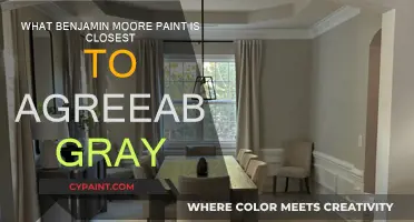 Discover Agreeable Gray Alternatives in Benjamin Moore Paint