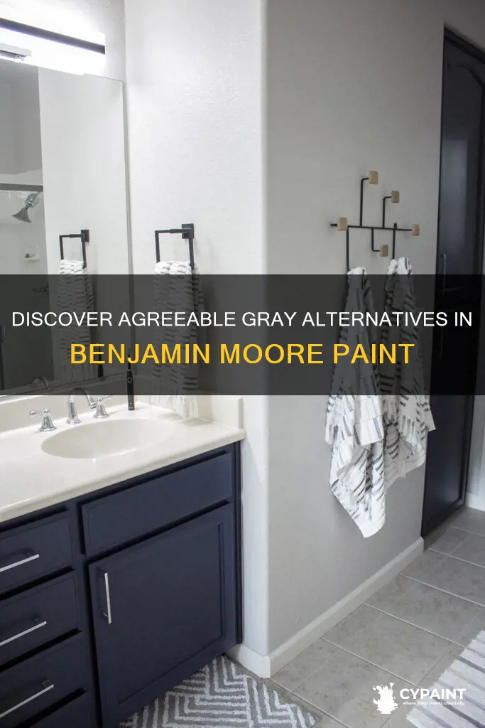 what benjamin moore paint is closest to agreeable gray